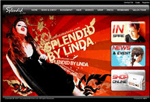 ตัวอย่างงาน portfolio webdesign