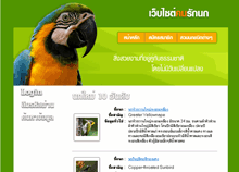ตัวอย่างงาน portfolio webdesign
