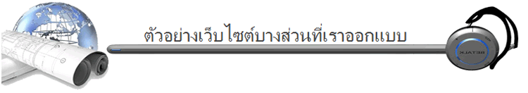 ตัวอย่างงาน portfolio webdesign